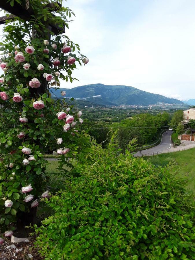 Locanda Bellavista Cavaso Del Tomba Luaran gambar
